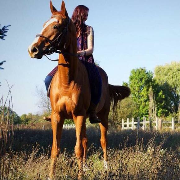 Meet your Posher, Molly - Picture 1 of 1